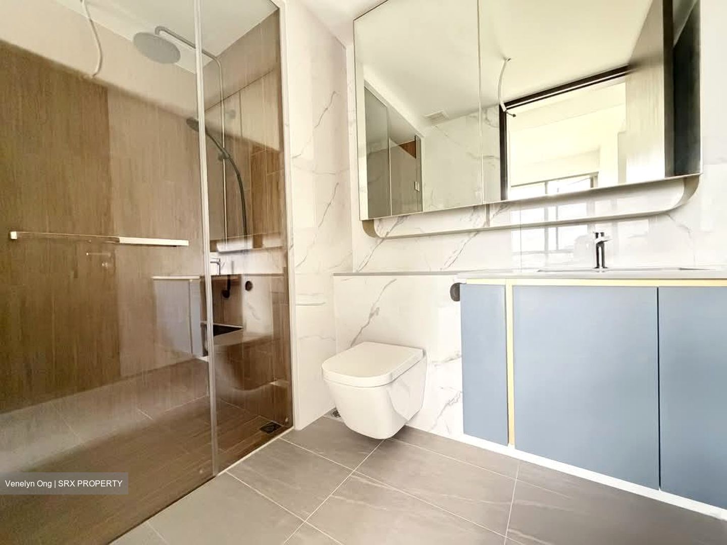 Amo Residence (D20), Apartment #558296631
